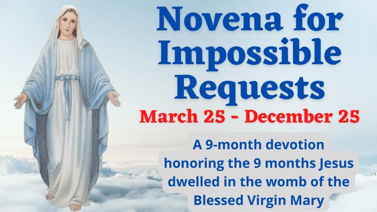 Saint Adaugoijele ✝️ tweet media