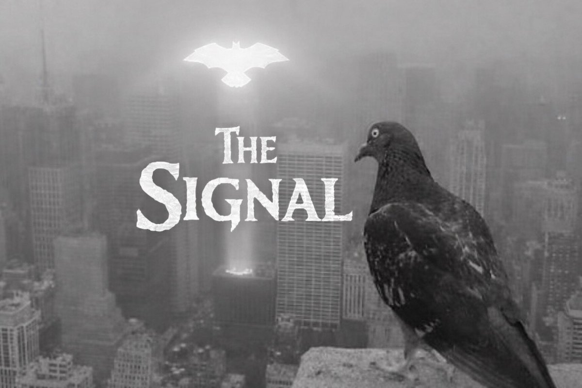Pigeon Signal tweet media