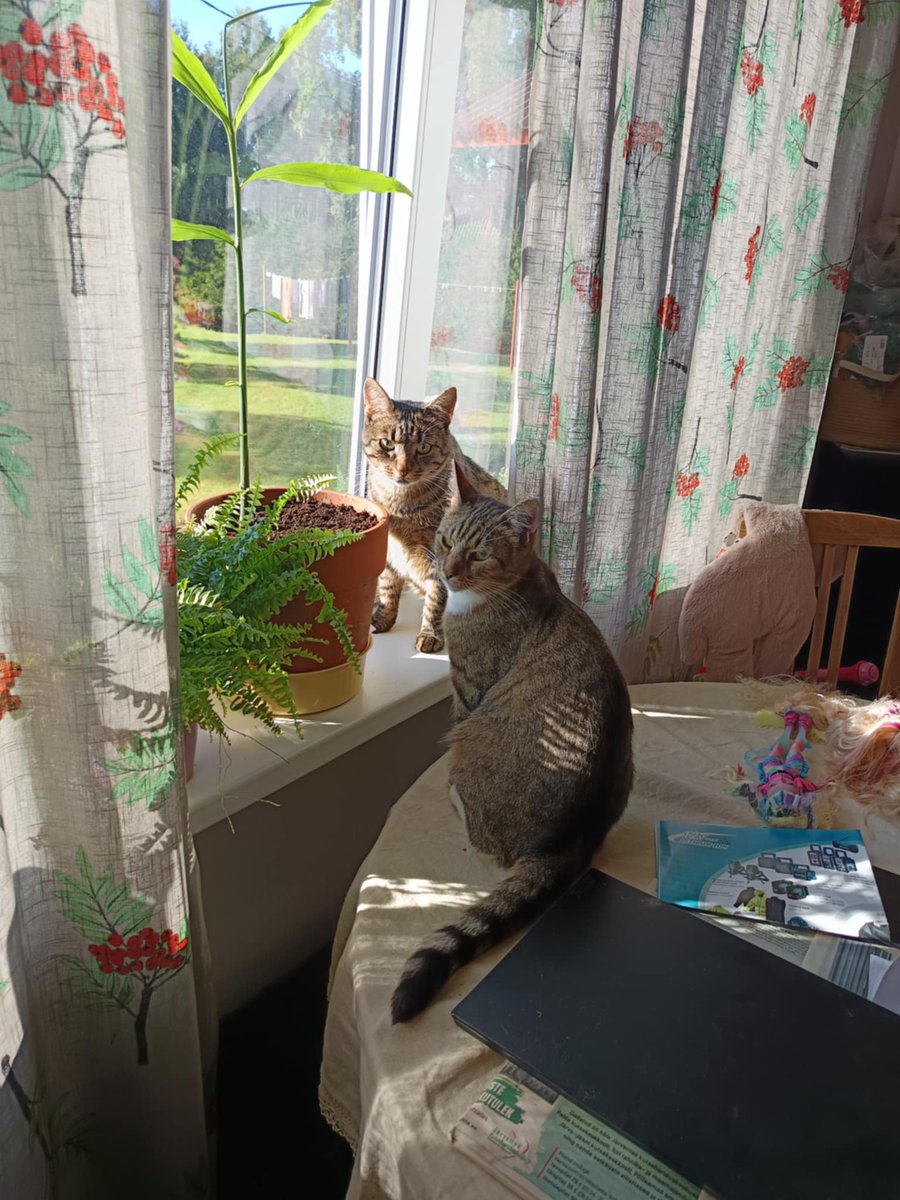 christmastiina tweet media