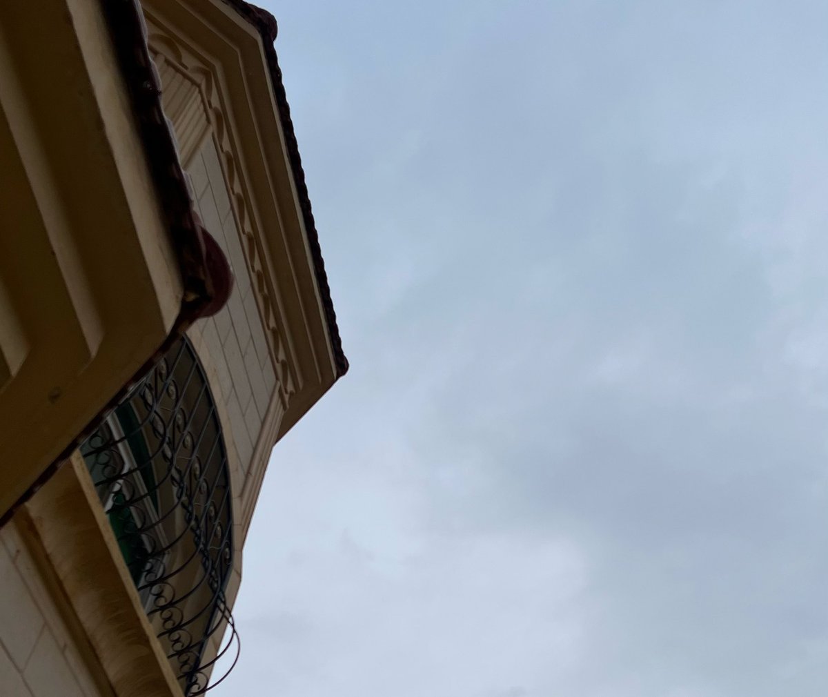 • 𝒄𝒍𝒂𝒊𝒓𝒐 tweet media