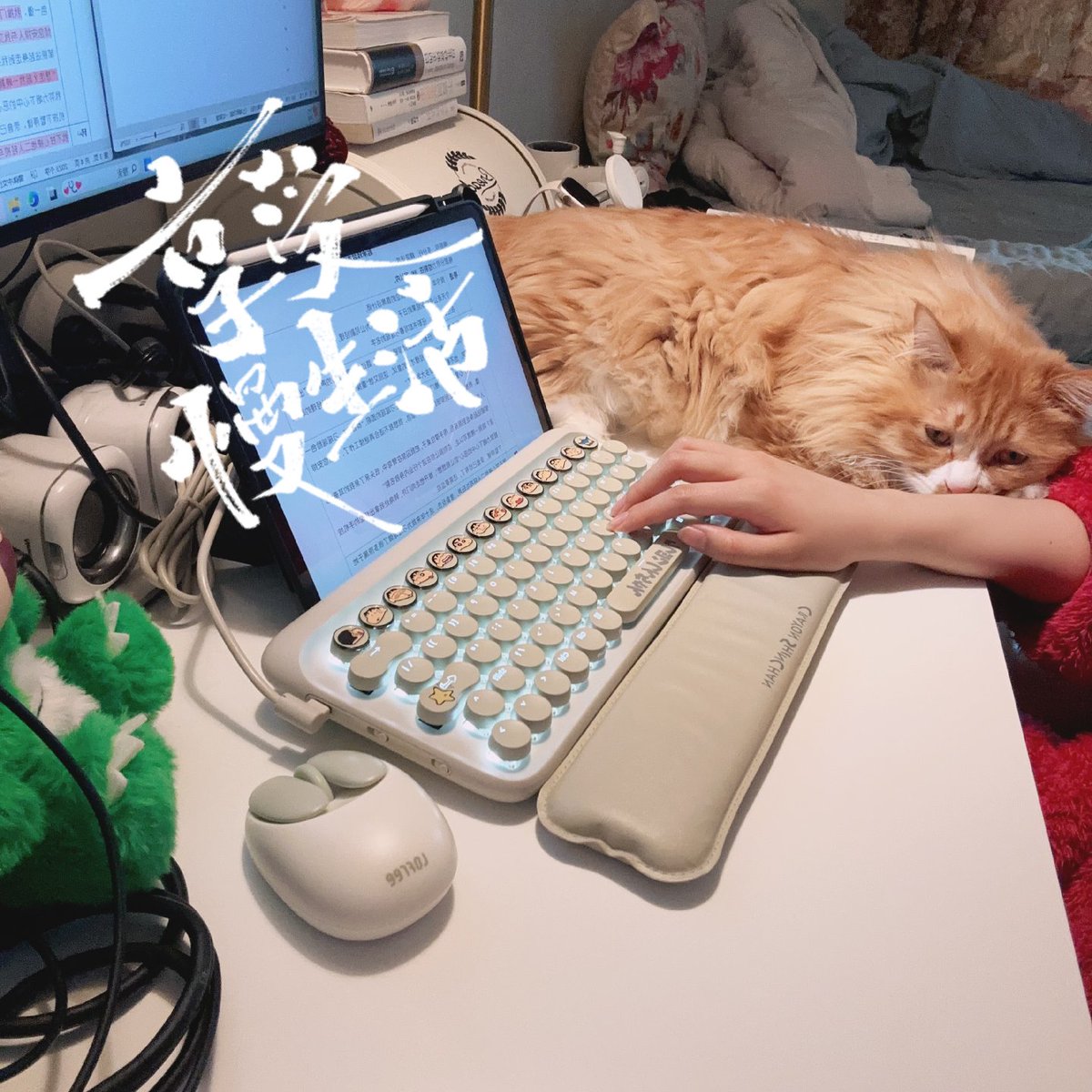 greg lang tweet media