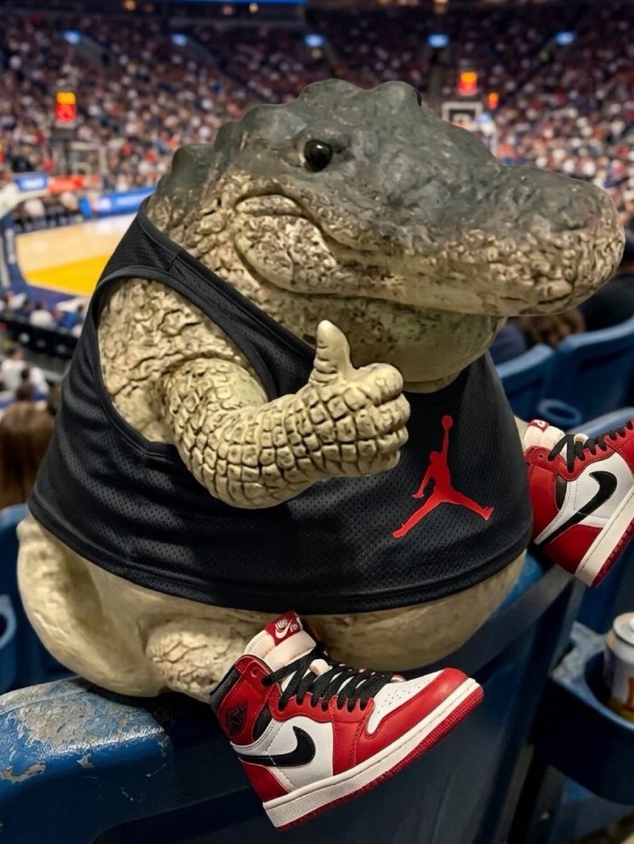 Shynobi 希諾比 🧲 tweet media