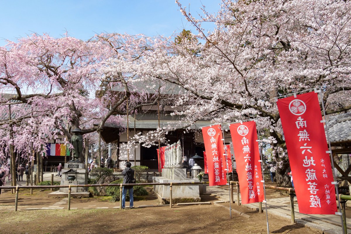 水戸市【公式】 tweet media