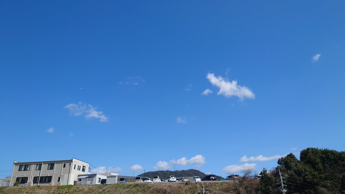 たく兄🧊🌻 tweet media