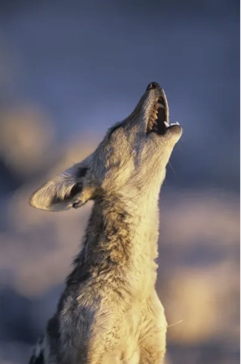 210Lovers tweet media