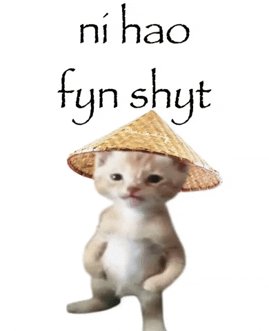 Cat Posted tweet media