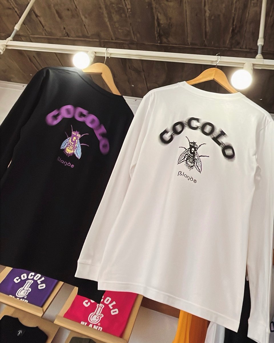 COCOLO BLAND tweet media