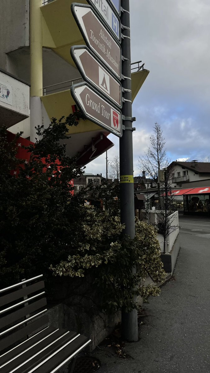 ˚๑ Somi ₊˚๑ | 🪷 tweet media