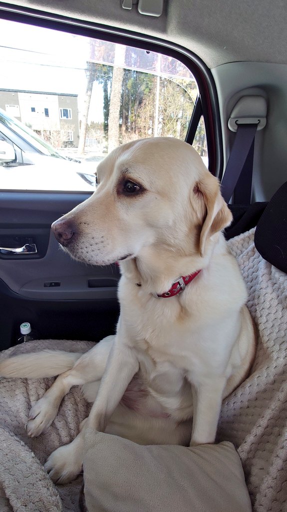 温泉民宿 南部屋（なんぶや） tweet media