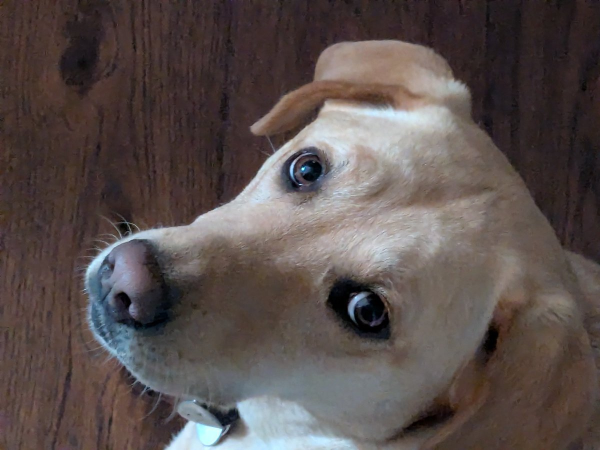 RockyRunyonRacing tweet media