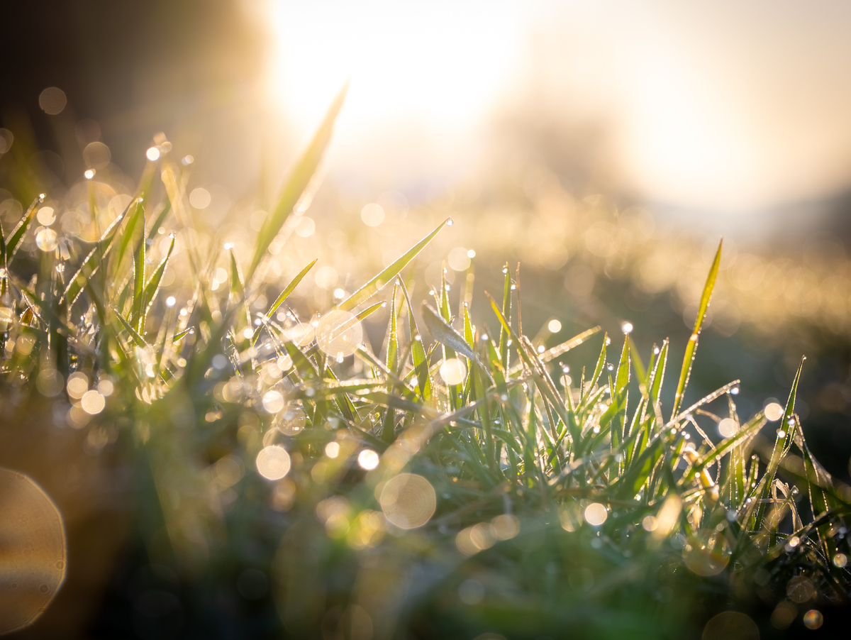 Michelle Orosz tweet media