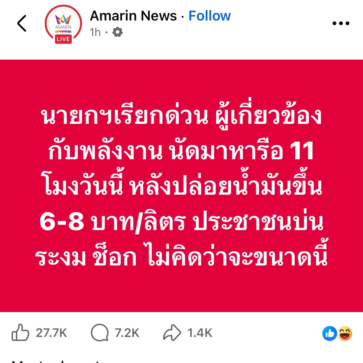 ૮꒰˵• ﻌ •˵꒱ა tweet media