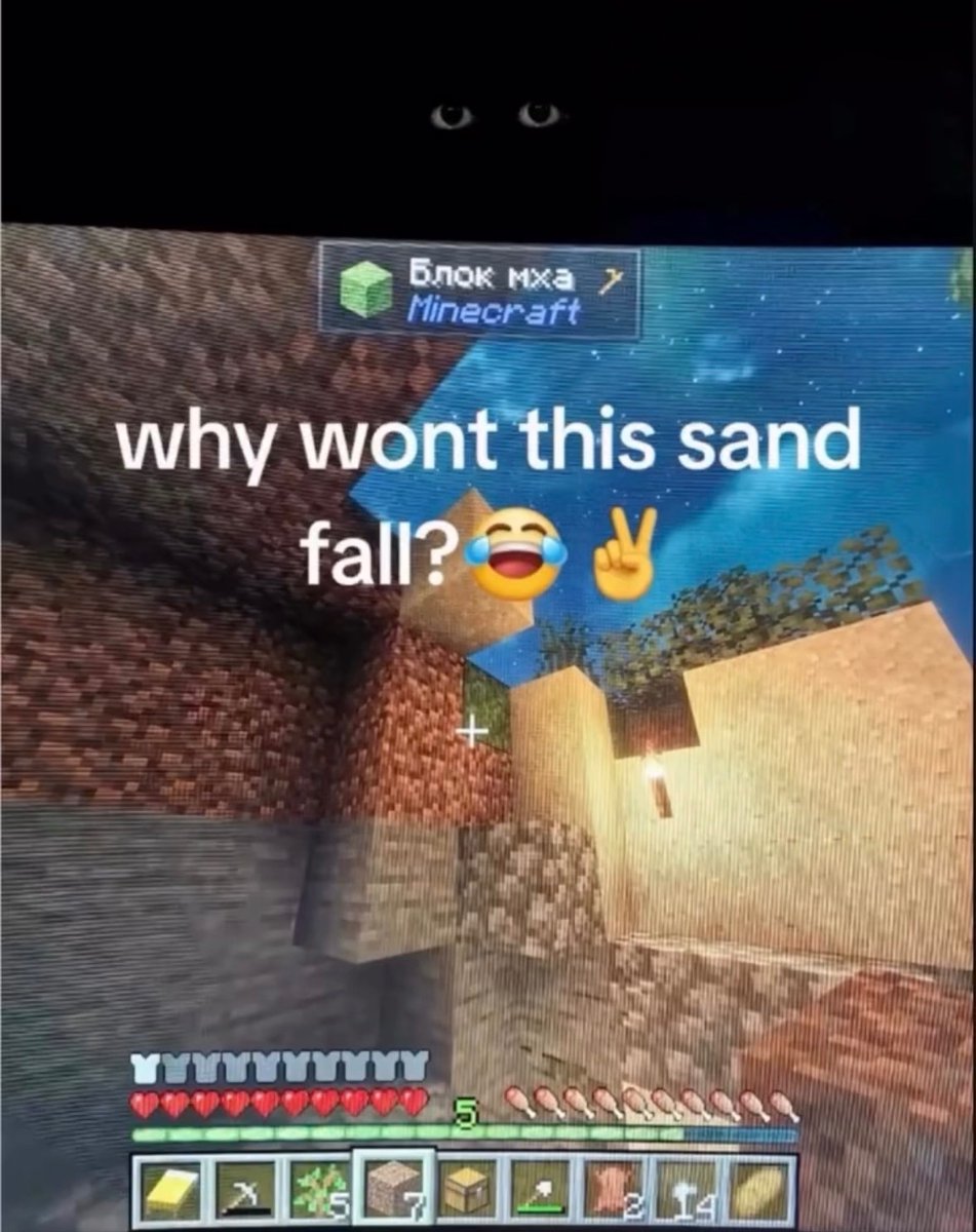 Your Typical Local Man tweet media