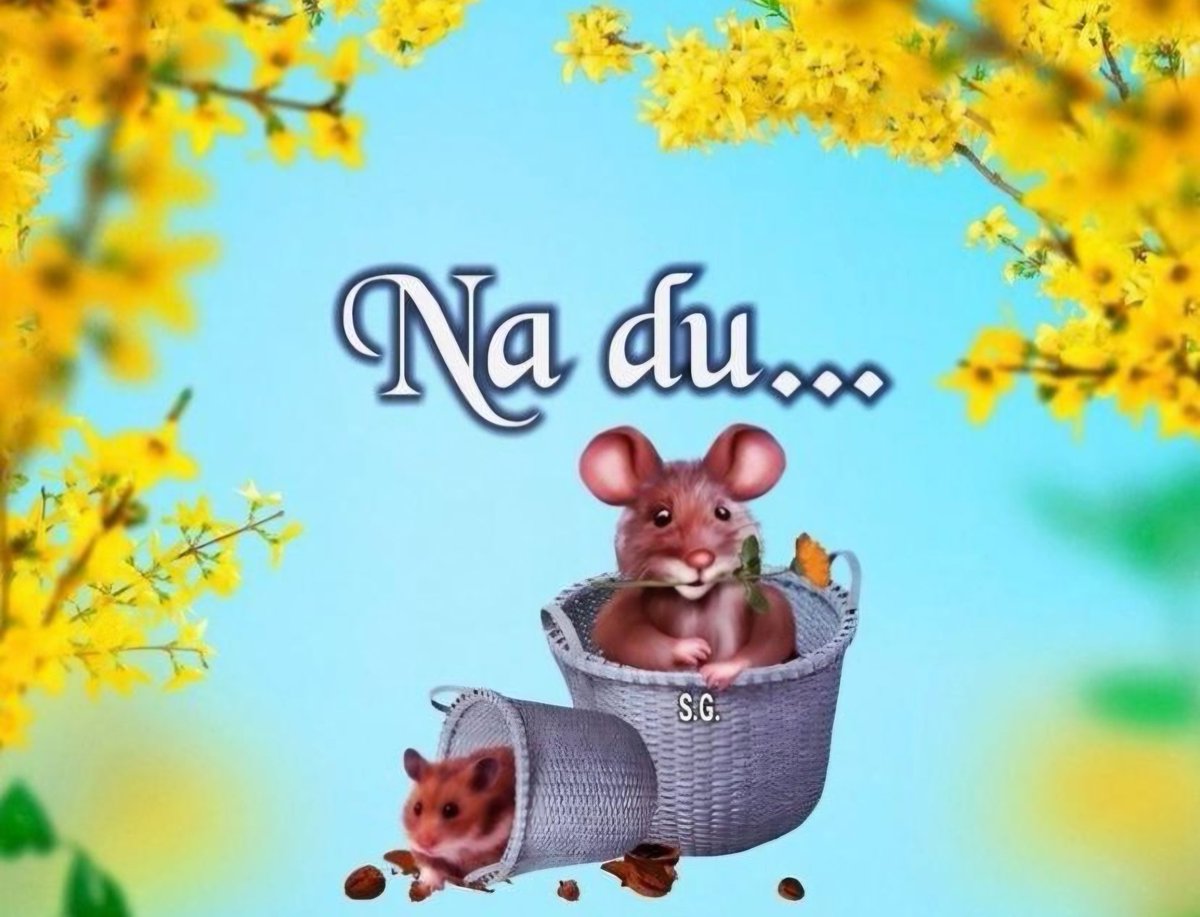 ReGina 🦄✨ tweet media