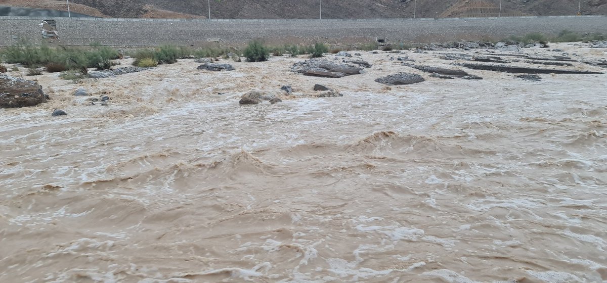 الأمل tweet media