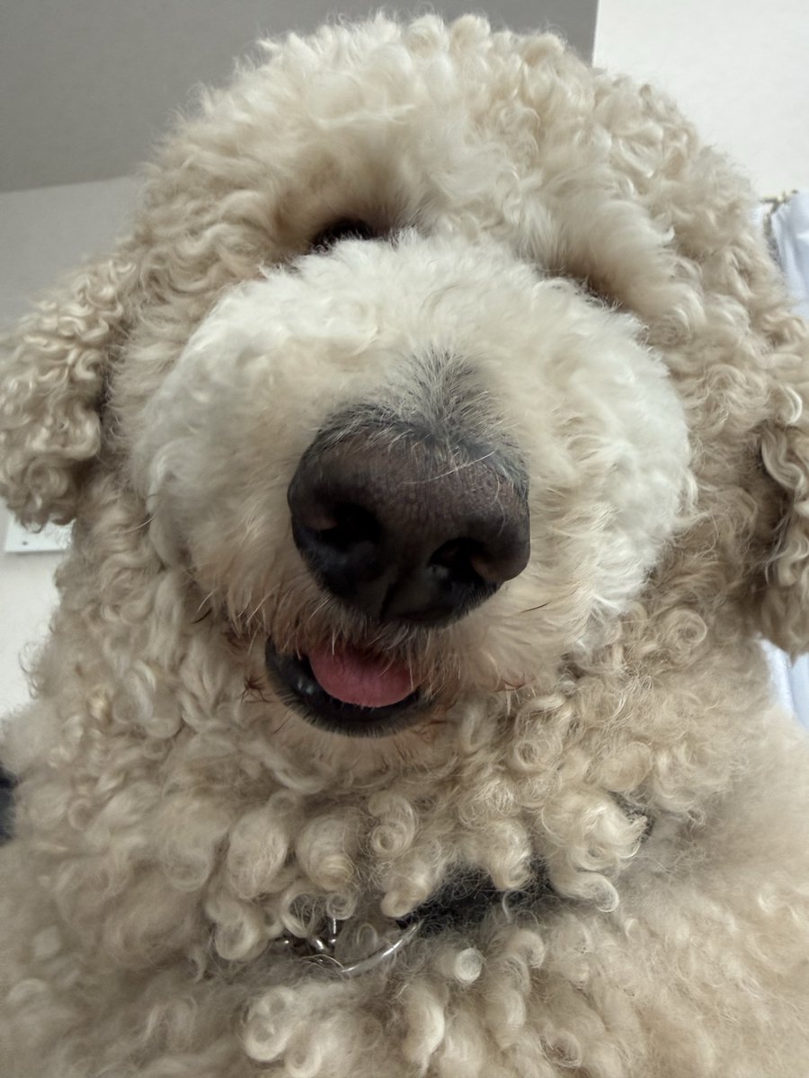 045クリーニング tweet media