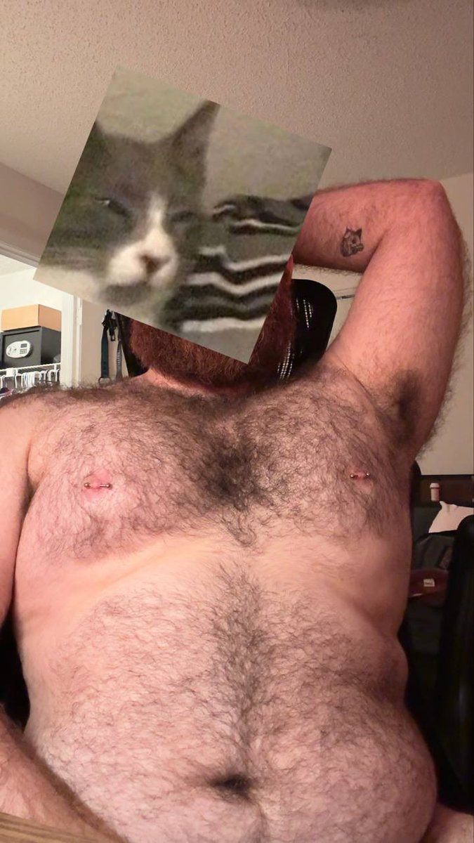 BearBiam's tweet photo. Happy late bear day https://t.co/Iocw0nYLYl