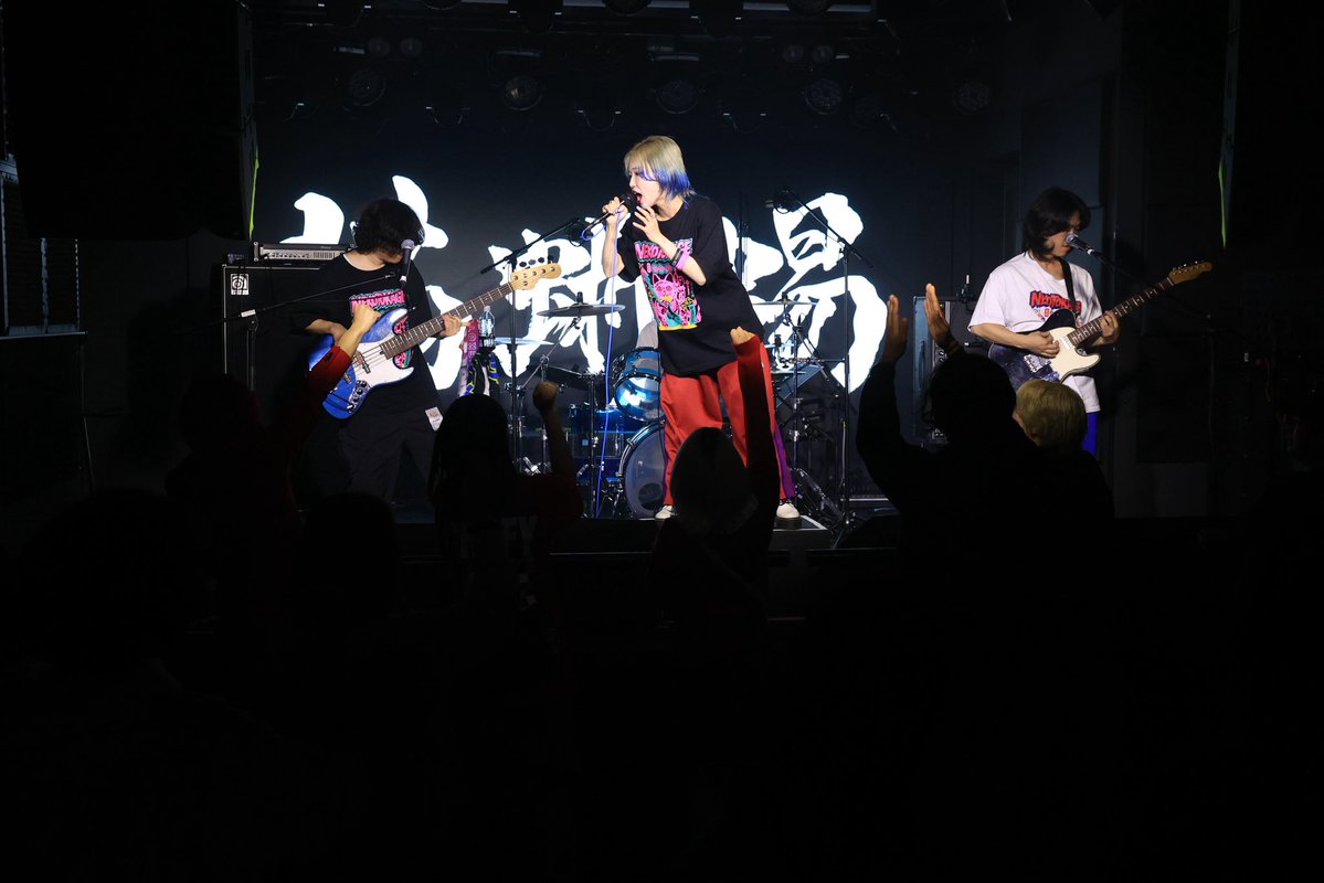 ネコトカゲ tweet media