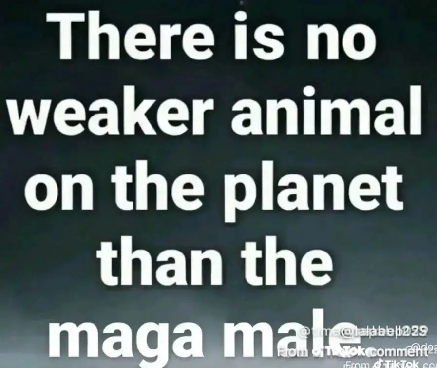 OddStructure tweet media