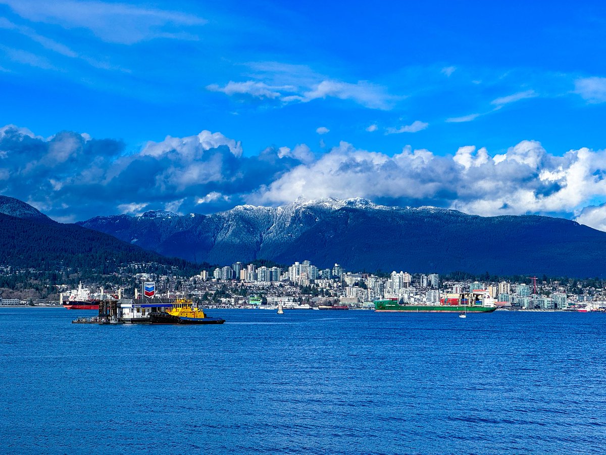 ニューヨークお散歩通信 tweet media