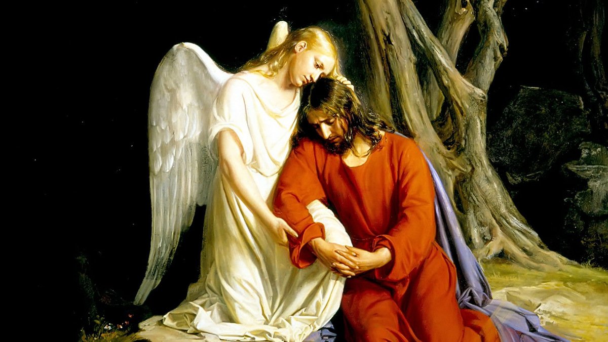 BIBLE LINE ～ バイブルライン tweet media