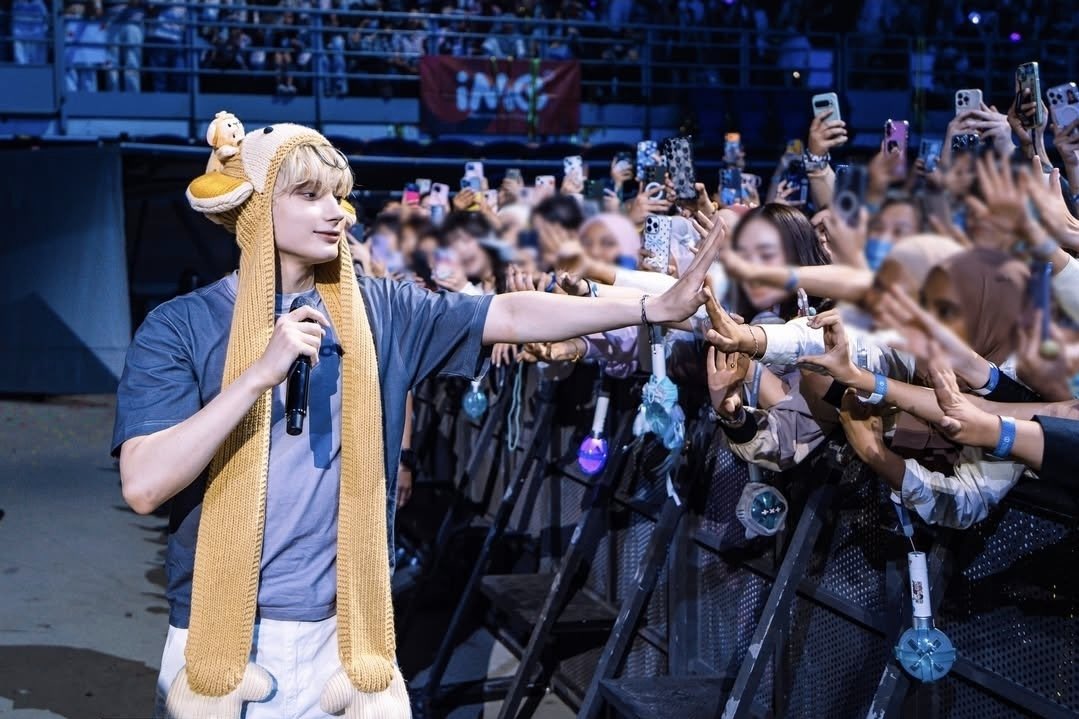 sheep hi tweet media