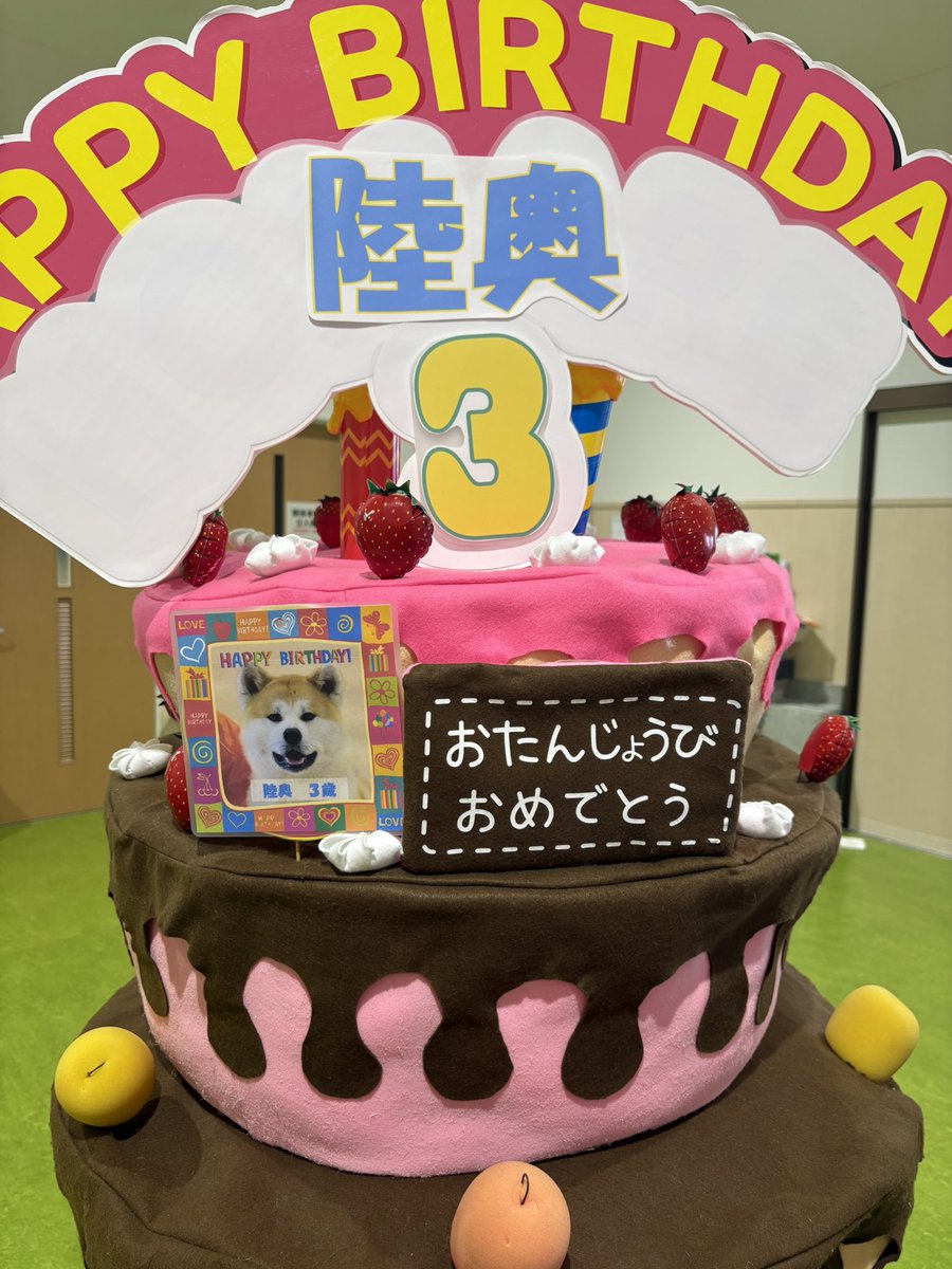 秋田犬の里【公式】 tweet media