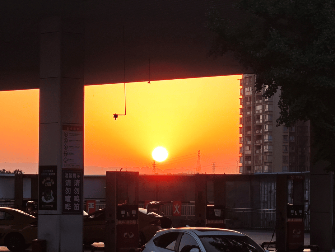 Alice Fanning tweet media