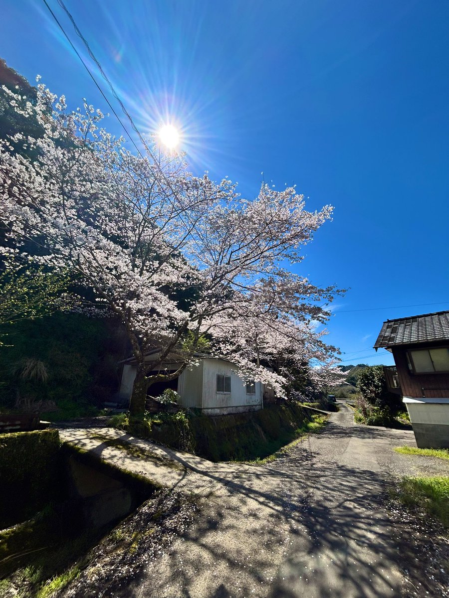 いちた tweet media