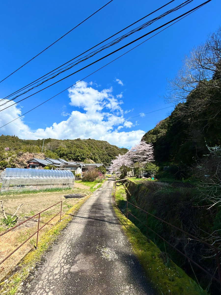 いちた tweet media