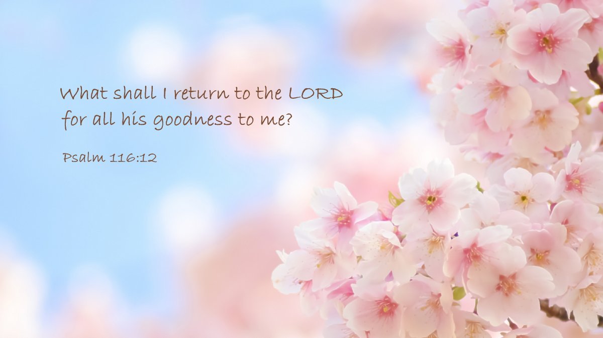 BIBLE LINE ～ バイブルライン tweet media