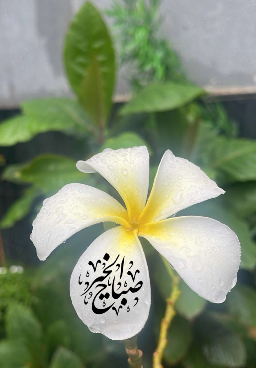 زياد منير الحجيلي tweet media