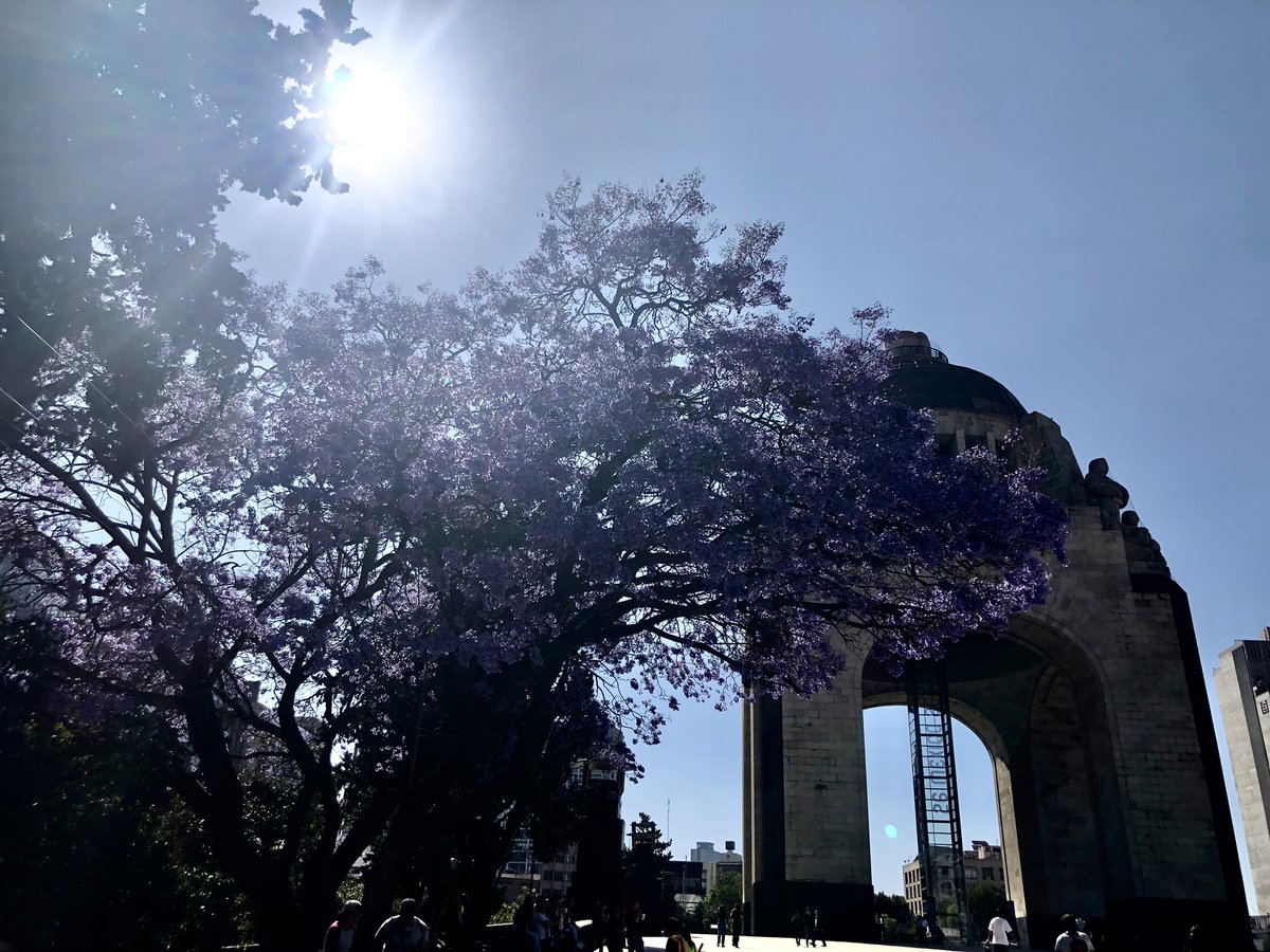 "No hay que llorar la muerte, …es mejor celebrar la vida".Jaime Sabines.
Foto: <a href="/Villasana10/">Adalberto Villasana</a> 
#TEXTUALes #TXTUALes Lee 
textual-es.com/2026/03/son-lo…