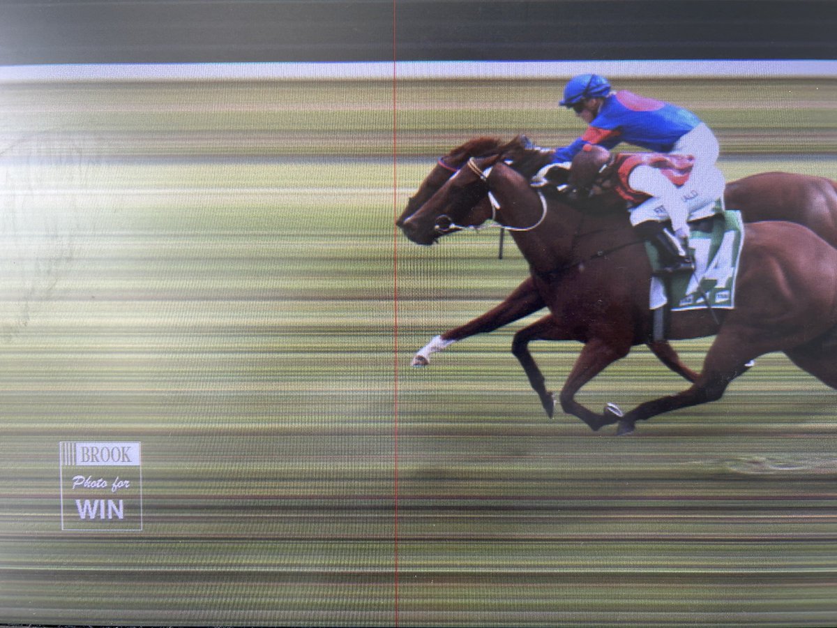 Racing NSW Stewards tweet media