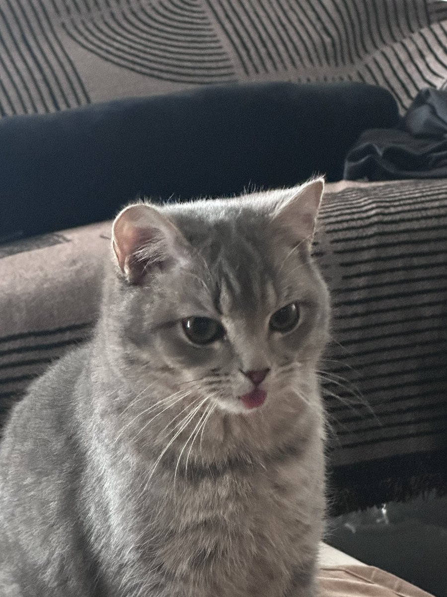 合翼卫 tweet media