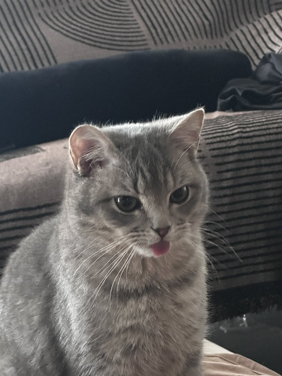 合翼卫 tweet media