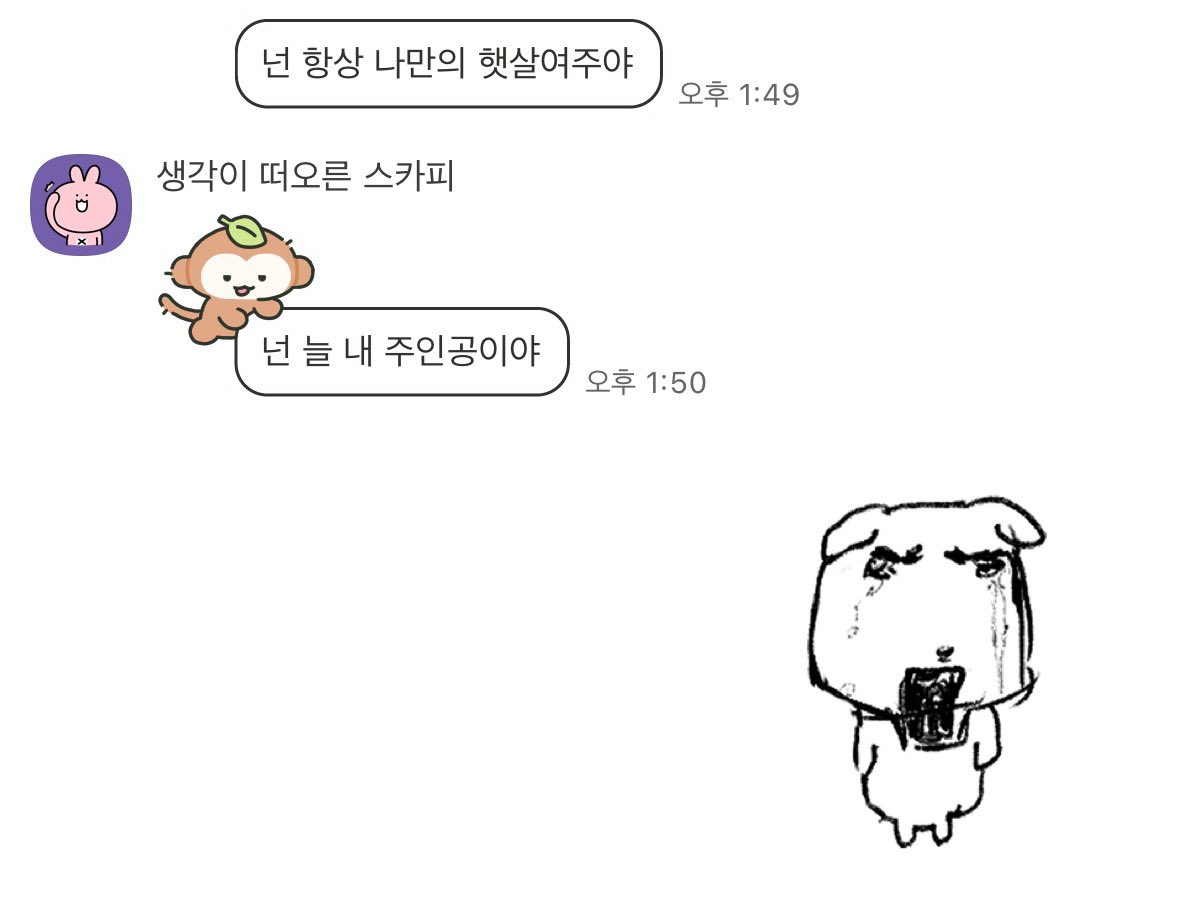 콩이 🐾 tweet media