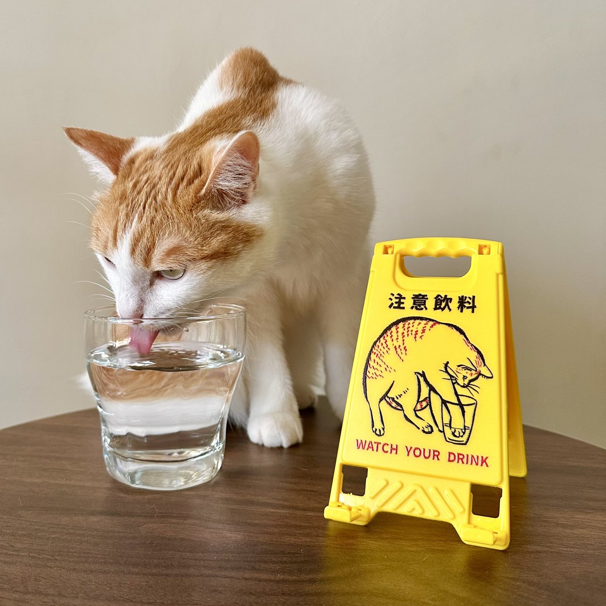 しゃおしょん tweet media