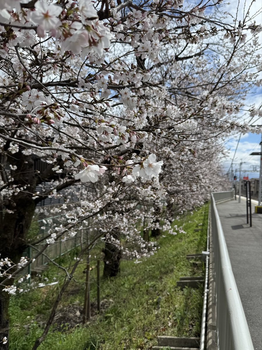 Luna_NFC's tweet photo. 今年も週末は渋滞か… https://t.co/a1aILX1vv3