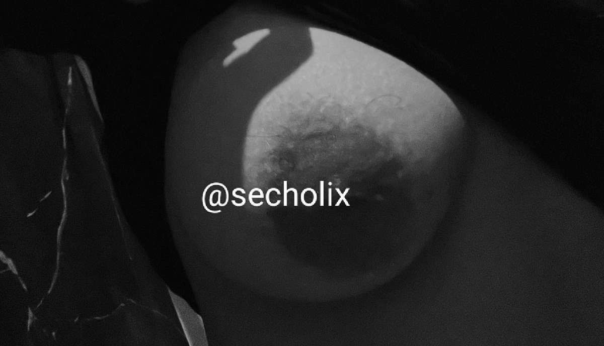 secholix's tweet photo. P adu toket https://t.co/l1uOsVS668