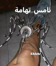 مالك دخل tweet media