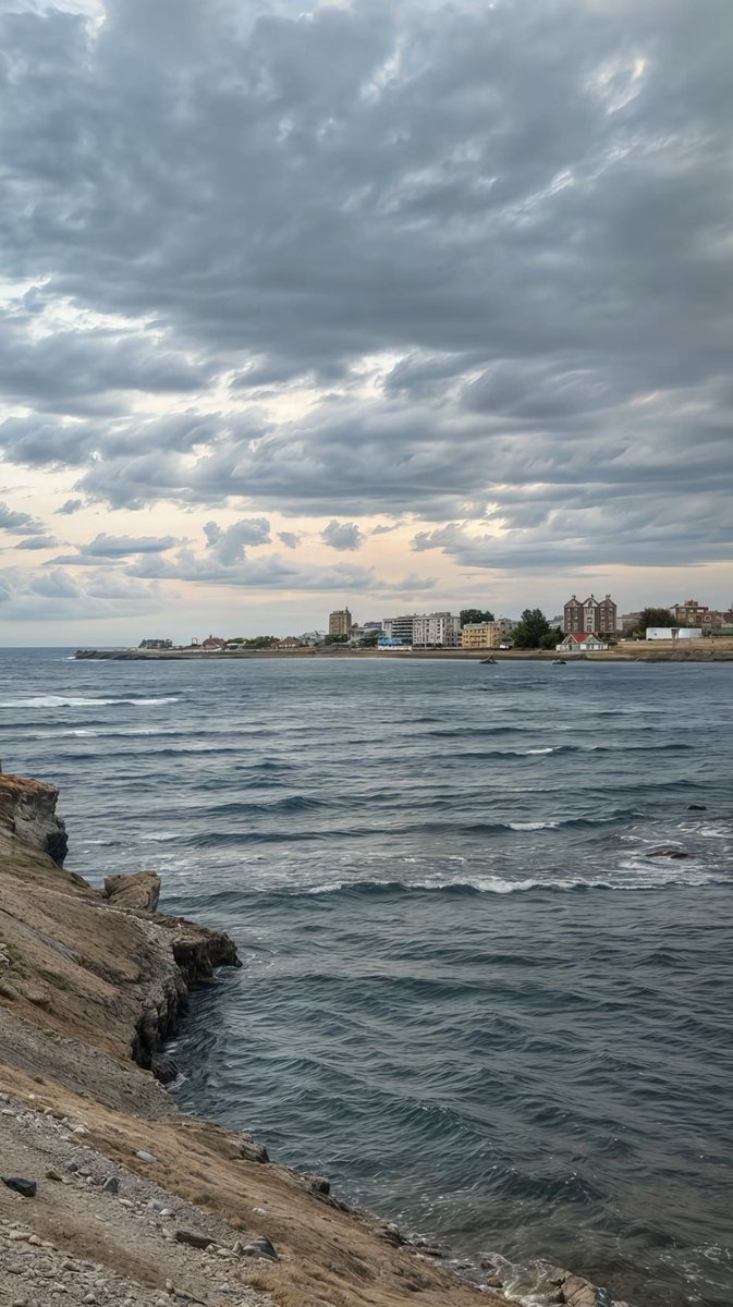 AlShamal Pinterest tweet media