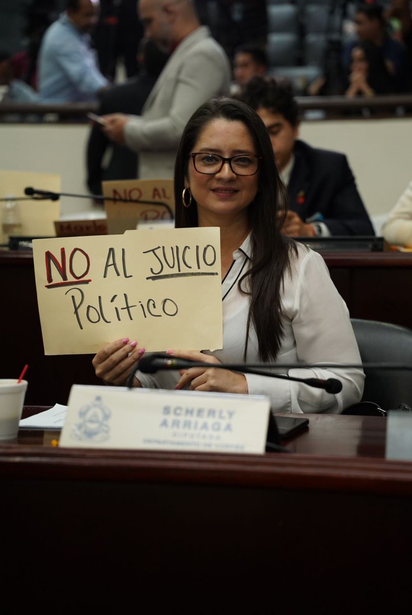 Diputada Scherly Arriaga tweet media