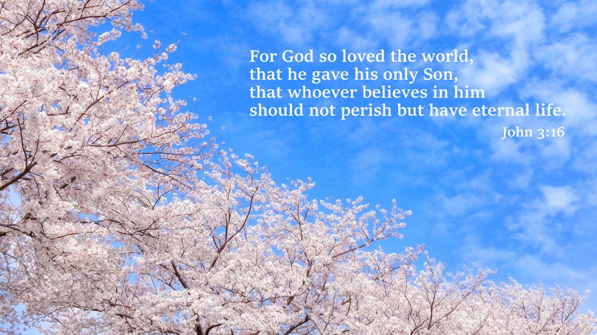 BIBLE LINE ～ バイブルライン tweet media