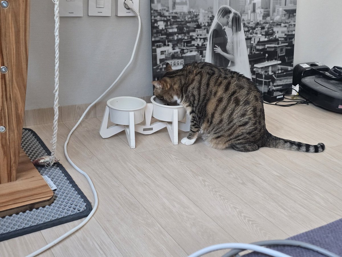 제이(JayKun)(Bar M.A./Project Sim:PL) tweet media