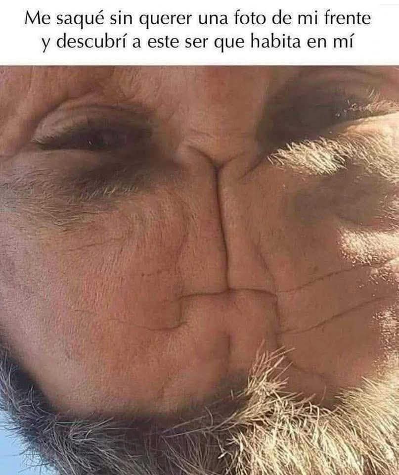 TuziBotMemes🤪😂🤣 tweet media