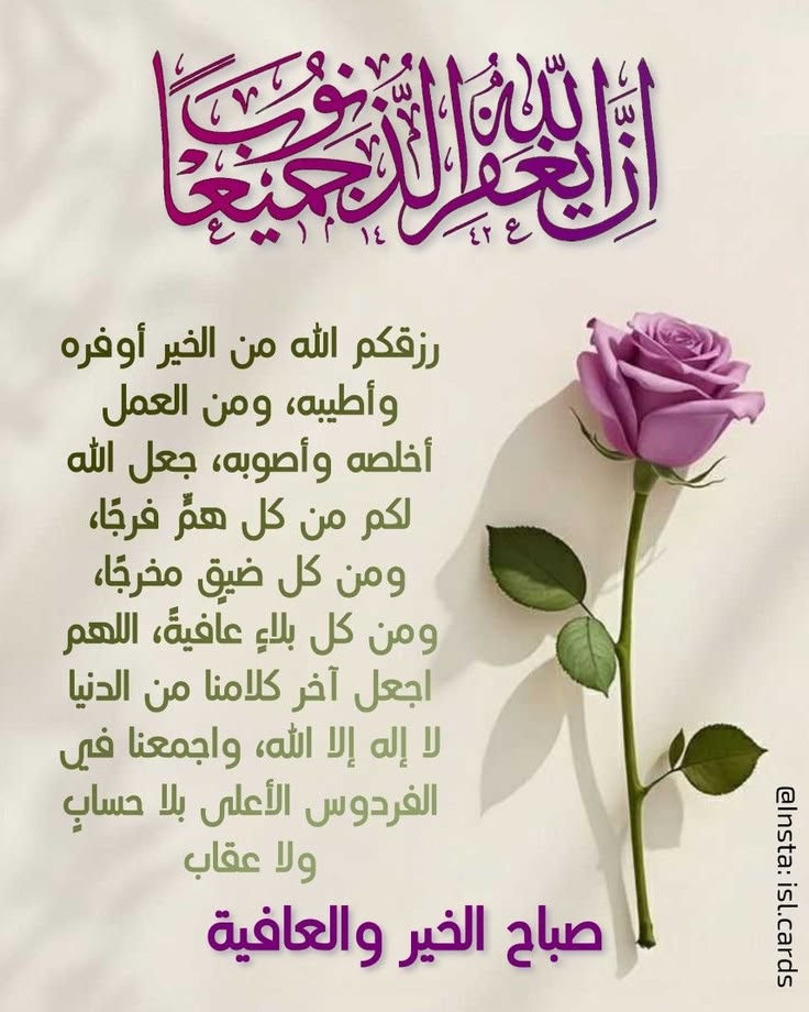 🇩🇿🌹الفارس أحمد🇩🇿💓 tweet media