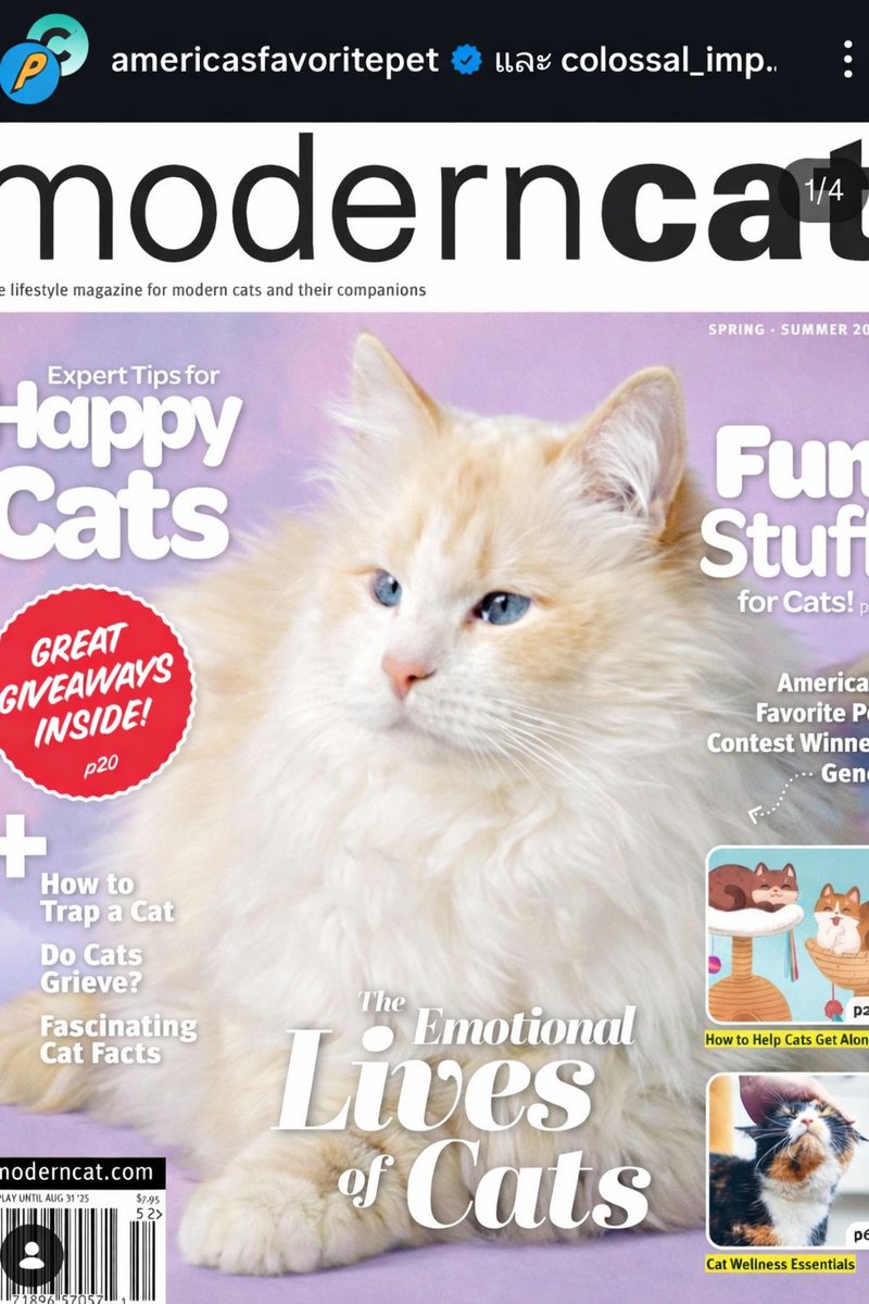 Asta👿 tweet media