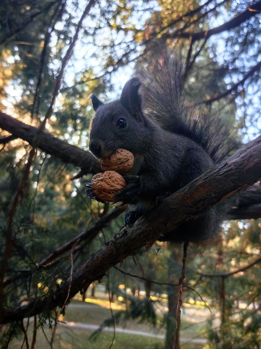 yacine ndao tweet media