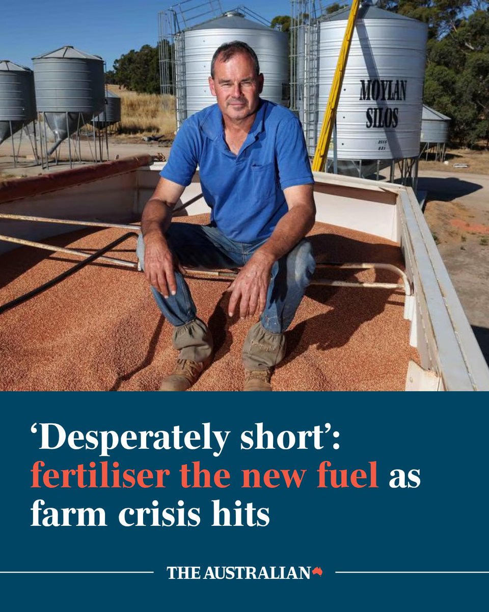 The Australian tweet media